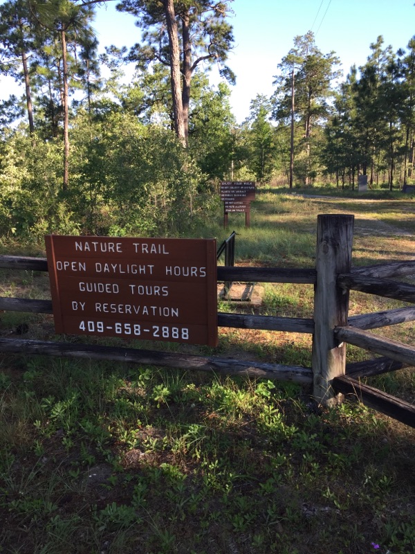 Fire Effects Tour Highlights - 