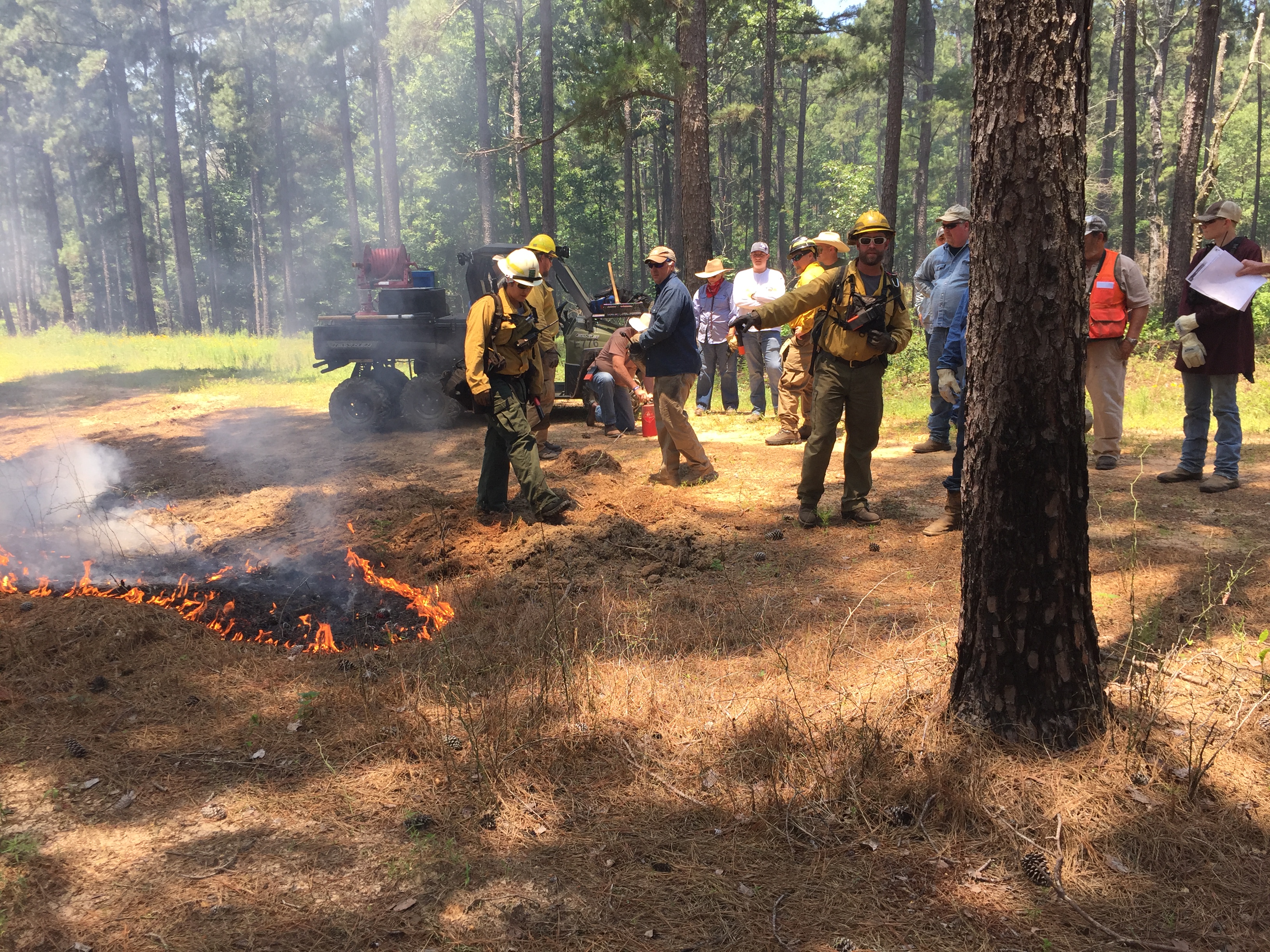 Certified Prescribed Burn Manager Course in Lufkin, TX.