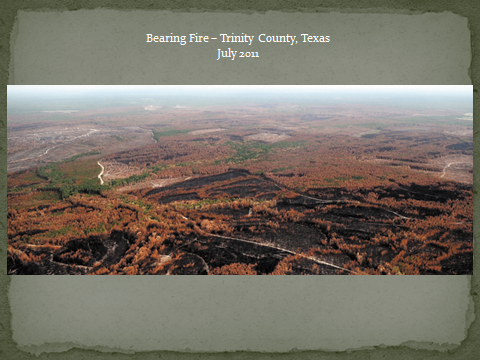Bearing Fire, Trinity County, Texas, July 2011