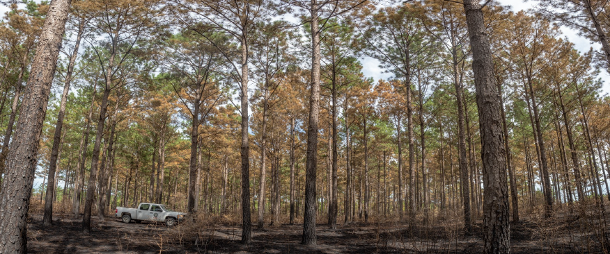 Asset Protection Part 2