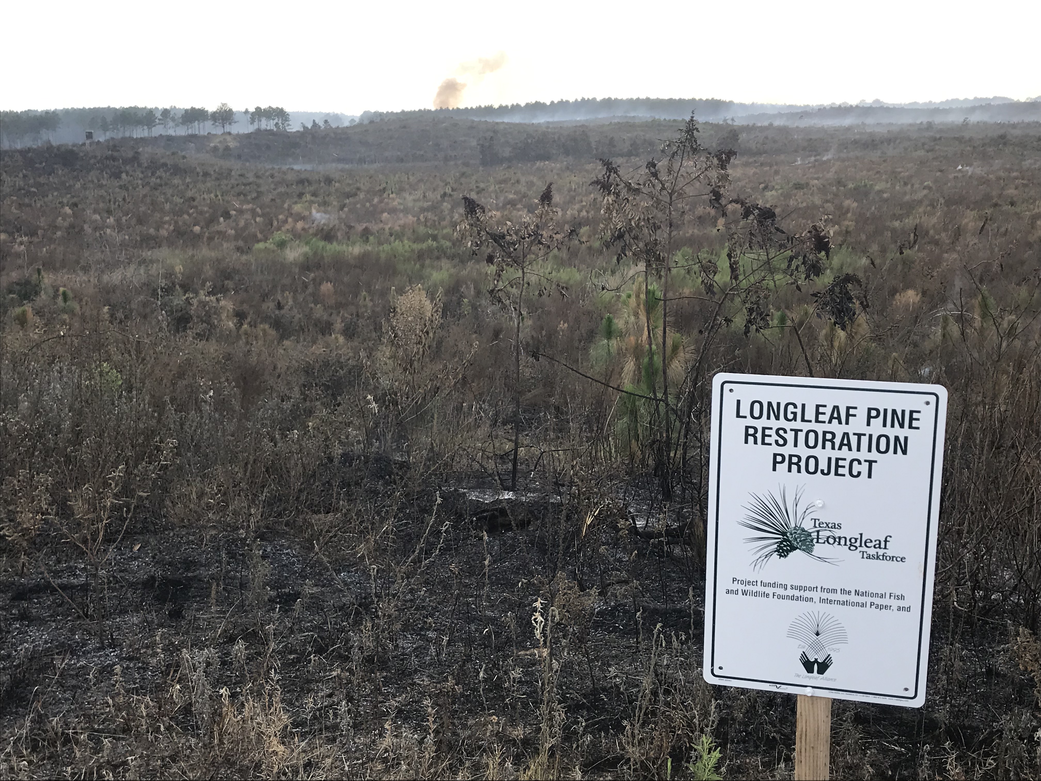 NEW RMS Red Gate Road Wildfire: Testimonial by Jennifer Smith