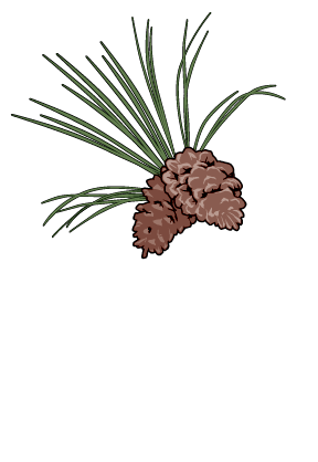 Texas Longleaf Taskforce Logo