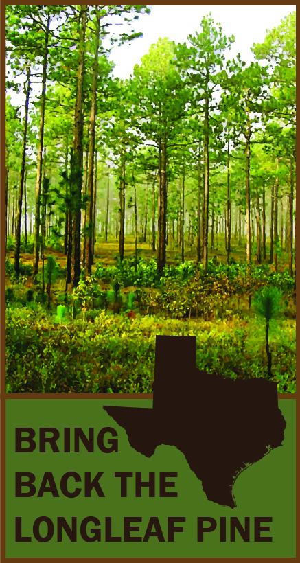 Texas Longleaf Pine Taskforce Logo
